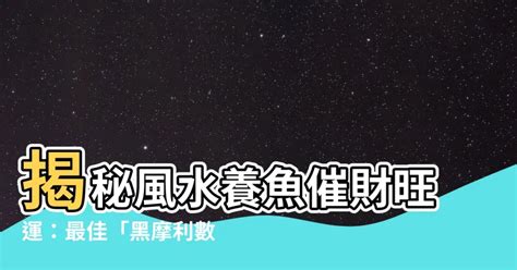 黑摩利數目|問答篇 － 風水魚數目